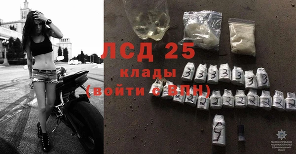 ГАЛЛЮЦИНОГЕННЫЕ ГРИБЫ Армянск