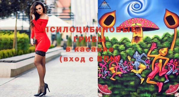 ГАЛЛЮЦИНОГЕННЫЕ ГРИБЫ Армянск