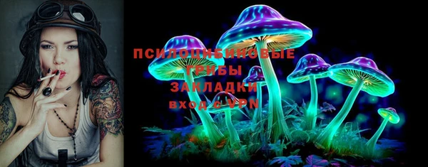 амф Аркадак