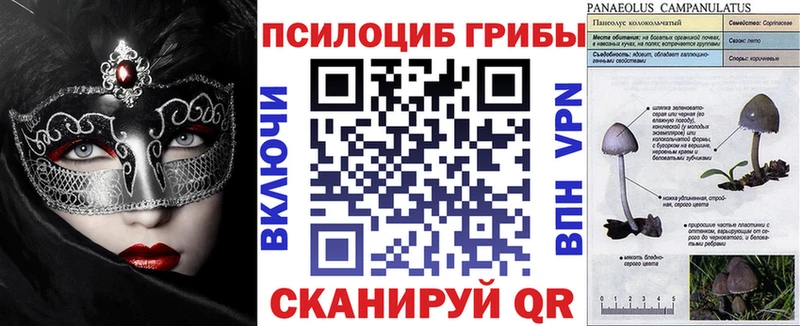 Галлюциногенные грибы Psilocybine cubensis  как найти   Куйбышев 